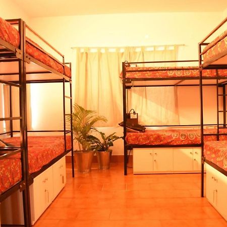 Be Animal Hostel 벵갈루루 외부 사진